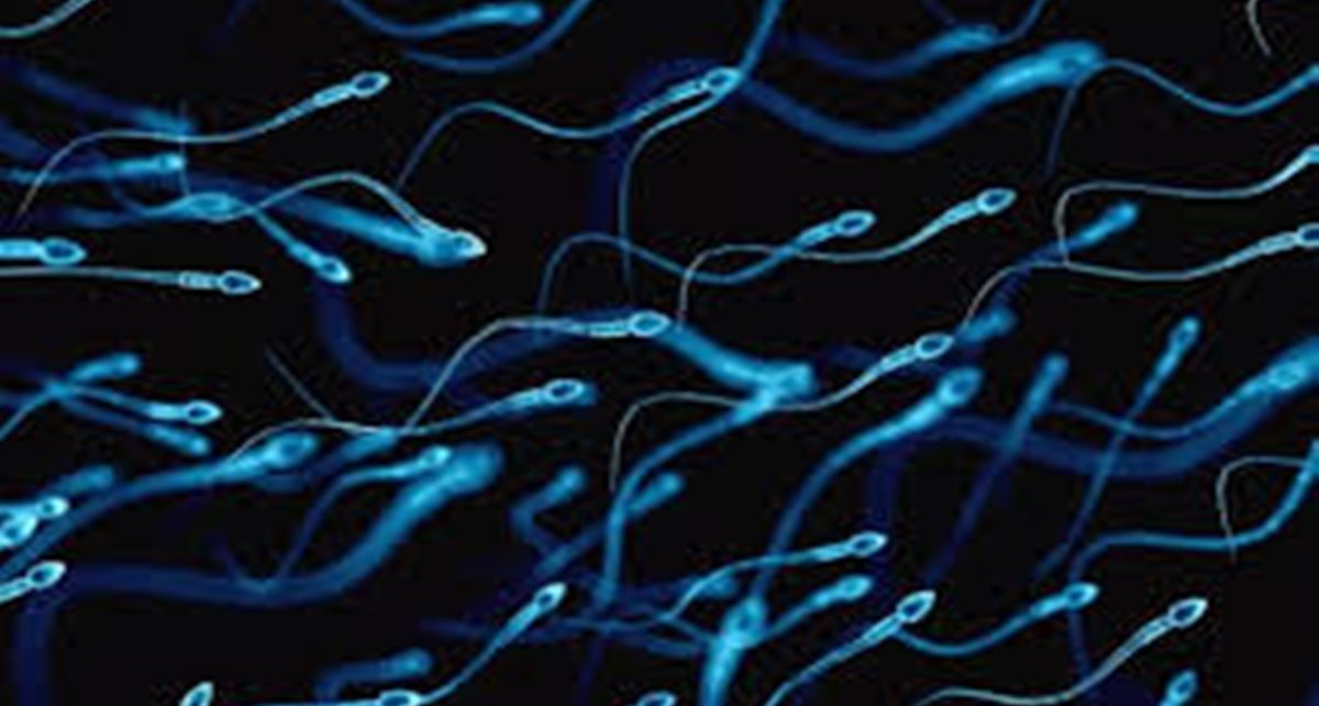 7 Makanan Enak yang Bisa Tingkatkan Kualitas Sperma, Sudah Coba?
