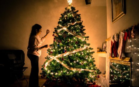 Fakta Unik tentang Pohon Natal yang Patut Diketahui