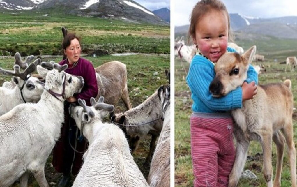 Kisah Suku Nomaden Yang Ada Di Negara Mongolia