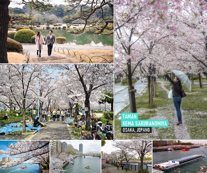 Osaka Jepang Memiliki Taman Bunga Yang Indah, Auto Berangkat nih !