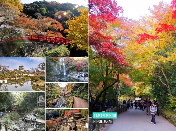 Osaka Jepang Memiliki Taman Bunga Yang Indah, Auto Berangkat nih !