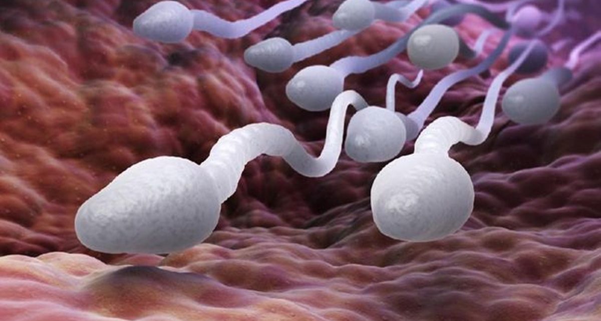 Studi Buktikan Vaksin Covid-19 Tak Rusak Kualitas Sperma