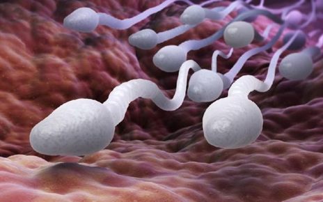 Studi Buktikan Vaksin Covid-19 Tak Rusak Kualitas Sperma