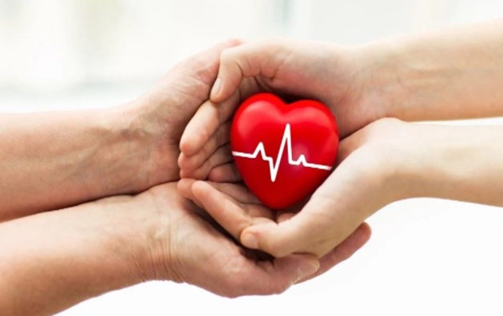 Merawat Jantung Apakah Sulit ? Berikut Cara Merawat Jantung Kita