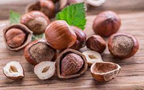 5 Manfaat Kacang Hazelnut Bagi Kesehatan Tubuh