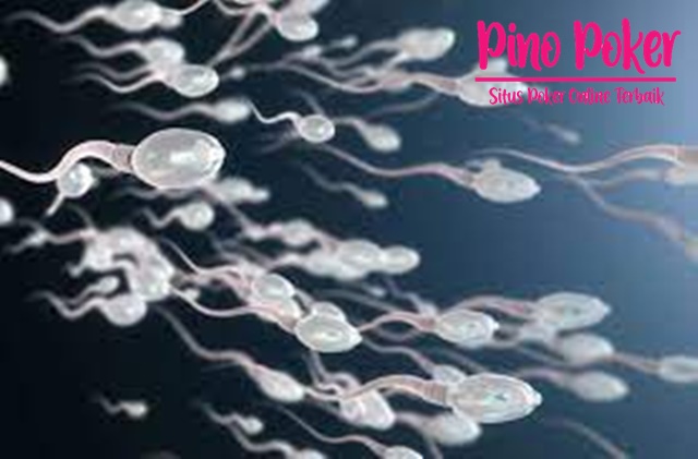 Gak Benar, Hoaks soal Sperma yang Masih Dipercaya