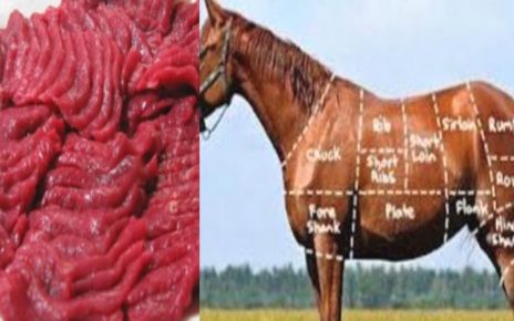 6 Khasiat Daging Kuda Untuk Kesehatan