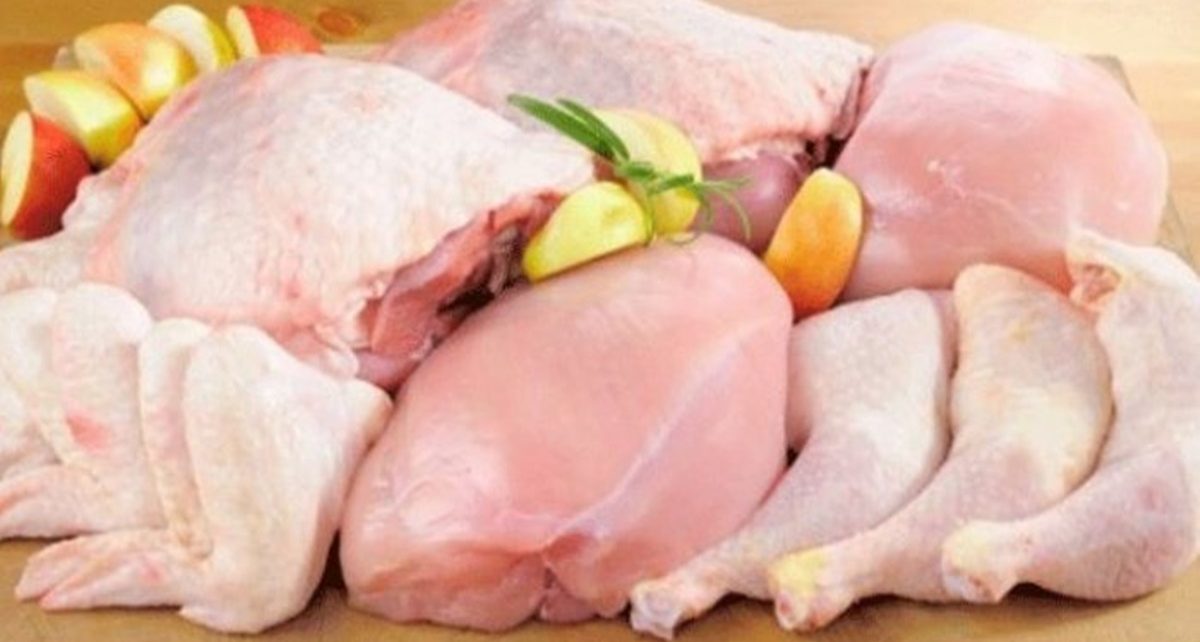 4 Jenis Penyakit Akibat Mengonsumsi Daging Ayam yang Belum Matang