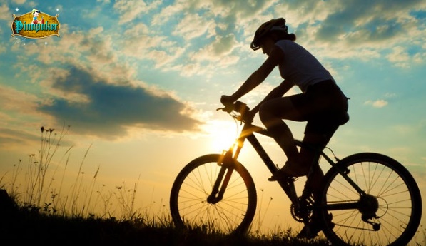 Manfaat Bersepeda untuk Kesehatan Jangka Panjang, Baik untuk Jantung
