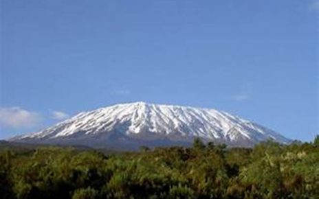 Hewan Unik Gunung Kilimanjaro